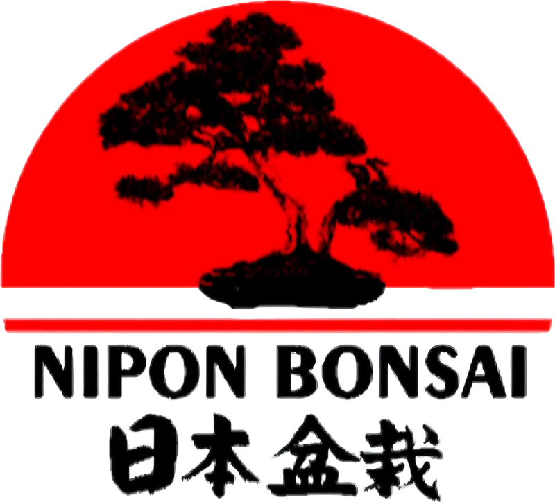Nipon Bonsai