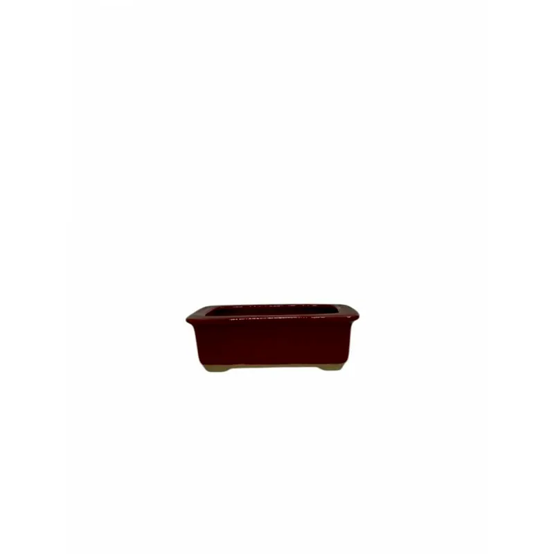 Vaso chinês mini, foto da loja Nipon Bonsai