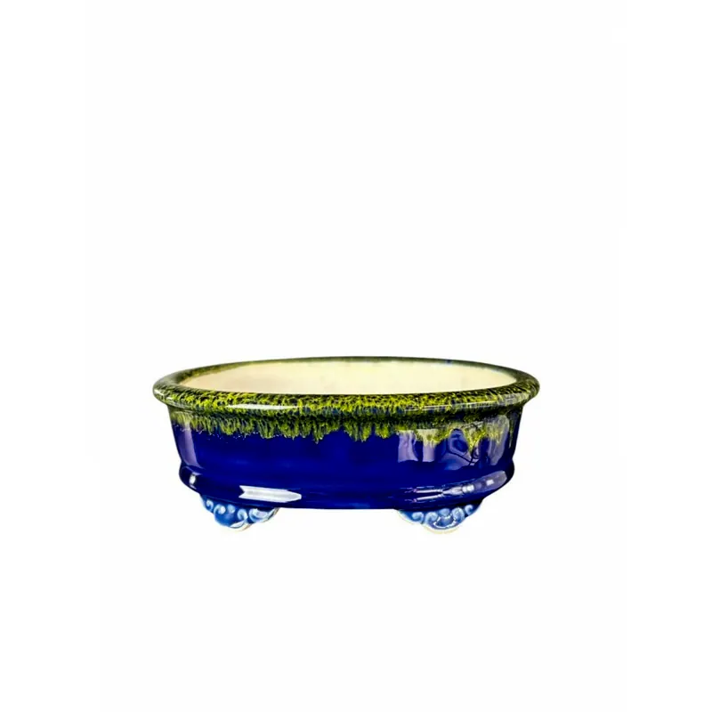 Vaso chinês oval azul, foto da loja Nipon Bonsai