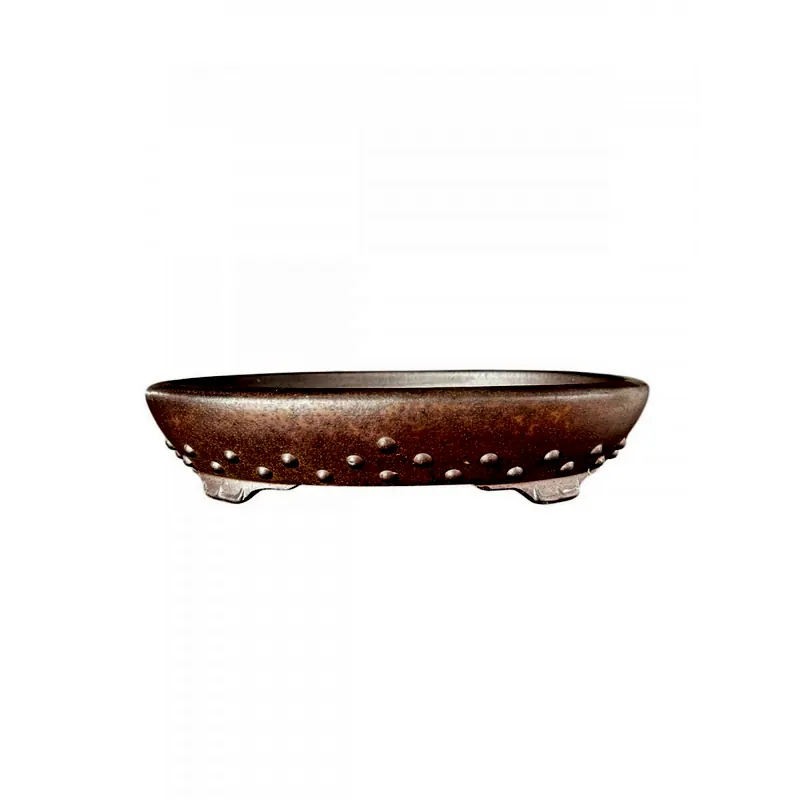 Vaso chinês oval, foto da loja Nipon Bonsai