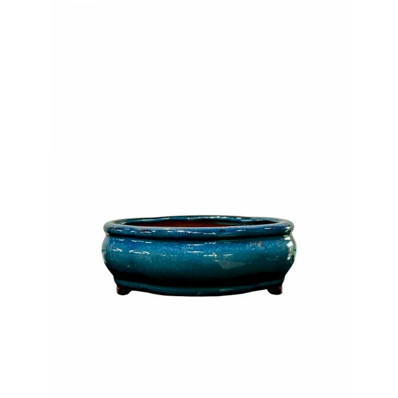 Vaso chinês nuvem, foto da loja Nipon Bonsai